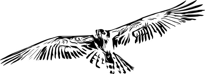 Black silhouette of a bird of prey in flight.