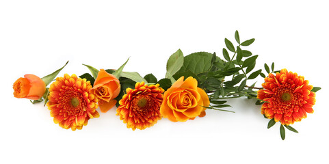 Border of Gerberas and Roses isolated on white background. Arrangement of orange flowers and leaves.