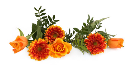 Border of Gerberas and Roses isolated on white background. Arrangement of orange flowers and leaves.