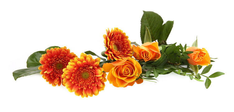 Border of Gerberas and Roses isolated on white background. Arrangement of orange flowers and leaves.