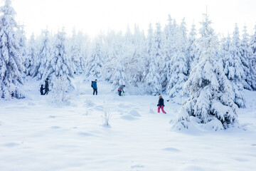 Verschneiter Wald, Kinder im Schnee, Taunus, Deutschland