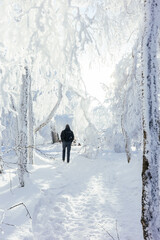 Wanderer in Schnee Landschaft bei Gegenlicht - Taunus