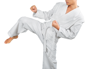 Portrait of an Asian Martial Artist Practicing