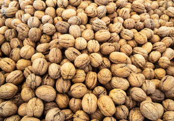 Bulk walnuts for sale in the market