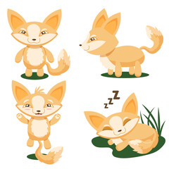 Sly little fox clothes element by football season