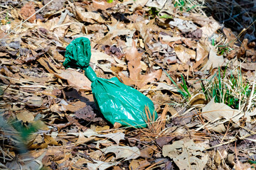 Full green plastic dog poop bag on fall leaves