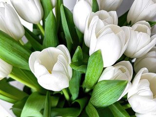 Obraz na płótnie Canvas Bouquet of beautiful white tulips close up.