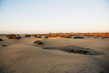 The Maspalomas dunes, Gran Canaria, Spain