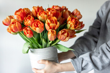 Bouquet of orange tulips in female hands in the interior of the room, close-up.