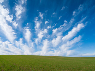 Fototapeta na wymiar Nubes rotas en un gran cielo azul sobre un cultivo verde.