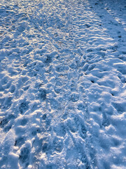 Snow with different footprints in the winter forest.