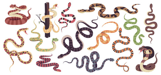 Reptiles snakes. Decorative tropical reptile collection, poisonous and not, different types scaly, crawling animals, cobra, python, ophiophagus and lampropeltis, tidy vector cartoon set - obrazy, fototapety, plakaty