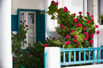 Fototapeta na wymiar Greece Mykonos street full colou flowers 