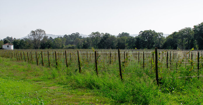 countryside portugal landscape
