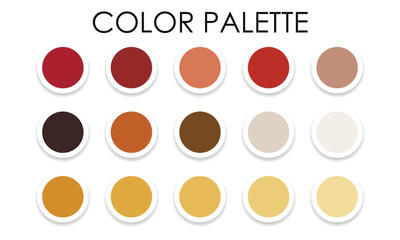 Universal color palette. Color combinations. Vector illustration