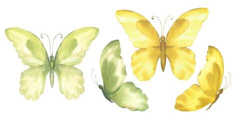 Watercolor illustration of yellow and green butterflies, isolate on white background.