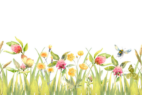 Watercolor hand drawn meadow herbal seamless border with green grass, red clover flowers and buttercup isolated on white background.