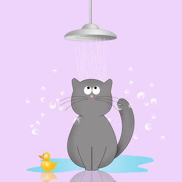 illustration of nice cat with shower for Pet grooming