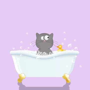illustration of a nice cat on the bath for pet grooming