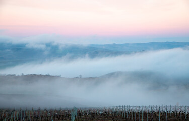 Fototapeta premium Morning fog between the hills in late autumn
