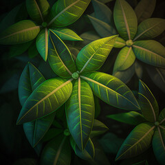 background of green leaves filling the screen