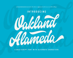 Oakland Alameda. Original Brush Script Font. Retro Typeface. Vector Illustration.	
