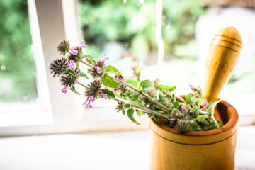 Still life with a bouquet of flowering Gemeiner Wirbeldost, Clinopodium vulgare, wild basil on an old vintage windowsill with wooden frames