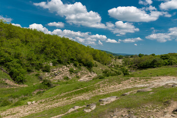 Fototapeta na wymiar Mountains and Forest in Bulgaria. Clear Blue Sky.