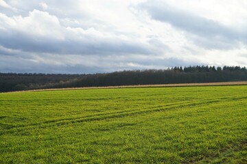 Gr&uuml;nes Landschaft Panorama mit gr&uuml;nem Ackerfeld vor Wald und blauem Himmel mit dramatischem wei&szlig;en Wolkengebilde am sp&auml;ten Nachmittag im Winter