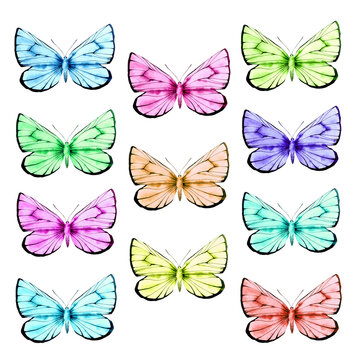 Light butterflies set. Watercolor illustration, poster.