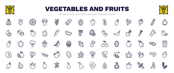 set of vegetables and fruits thin line icons. vegetables and fruits outline icons such as pitaya, orange, garlic, beetroot, radishes, breast milk fruit, avocado, tamarind, peanut vector.