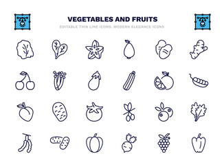 set of vegetables and fruits thin line icons. vegetables and fruits outline icons such as lettuce, star fruit, tuber, celery, grapefruit, potato, blueberries, potatoes, radishes, paprika vector.
