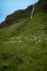 Iceland Landscape Waterfull 