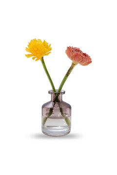 flowers in a vase with a shadow on a white isolated background