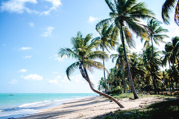 Praia de Maragogi - Maceio\AL