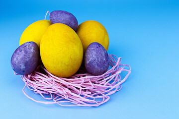 Yellow and purple easter eggs that are dyed with turmeric and hibiscus lie in a pink nest on a blue background. Natural dyes.