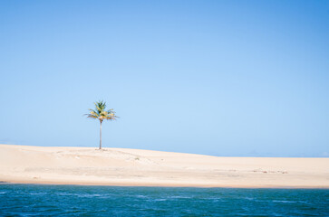 Foz do Rio S&atilde;o Francisco - Alagoas