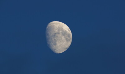 white moon in the evening with blue sky