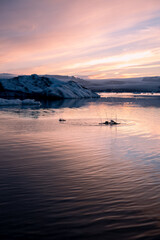 Iceland Landscape Jokulsarlon Glacial Lagoon