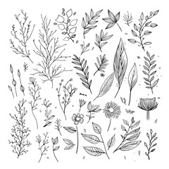 Vector set of handdrawn doodle frames and borders. Handdrawn elements, flowers, branches, swashes and flourishes.