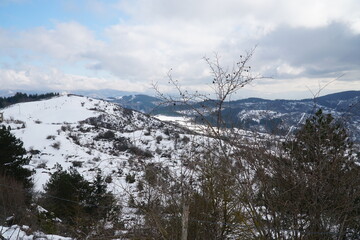 neve al Passo della consuma
