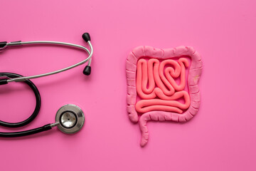 Digestive colon system health concept. Intestines shape made of plasticine with stethoscope