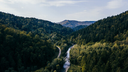 Beautiful view of the river in the forest. Sine Wiry, Bieszczady Mountains in Poland. © Grzegorz