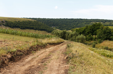 Fototapeta na wymiar Country road running between fields, hills and forest, summer hot day