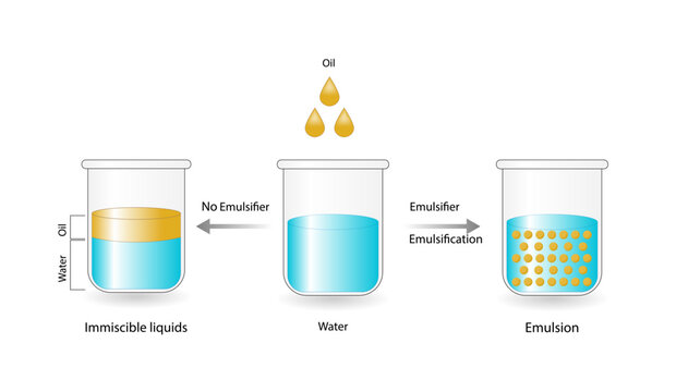 Emulsion, a mixture of two immiscible liquids (oil and water) in beakers, Emulsion oil in water, Immiscible liquids. Emulsification, emulsifier. isolated on white background. Vector illustration.