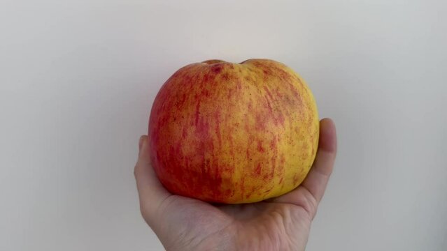 A man holds a ripe large yellow-red apple