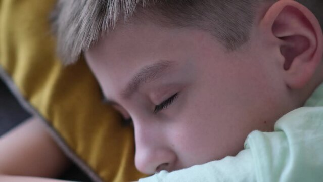 The boy is sleeping on the sofa. Close-up of a cau