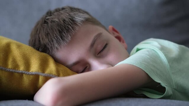 The boy is sleeping on the sofa. Close-up of a cau