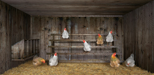 chicken coop with hens made of old wood lined with hay