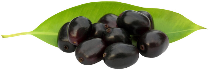 Fresh Blackberry